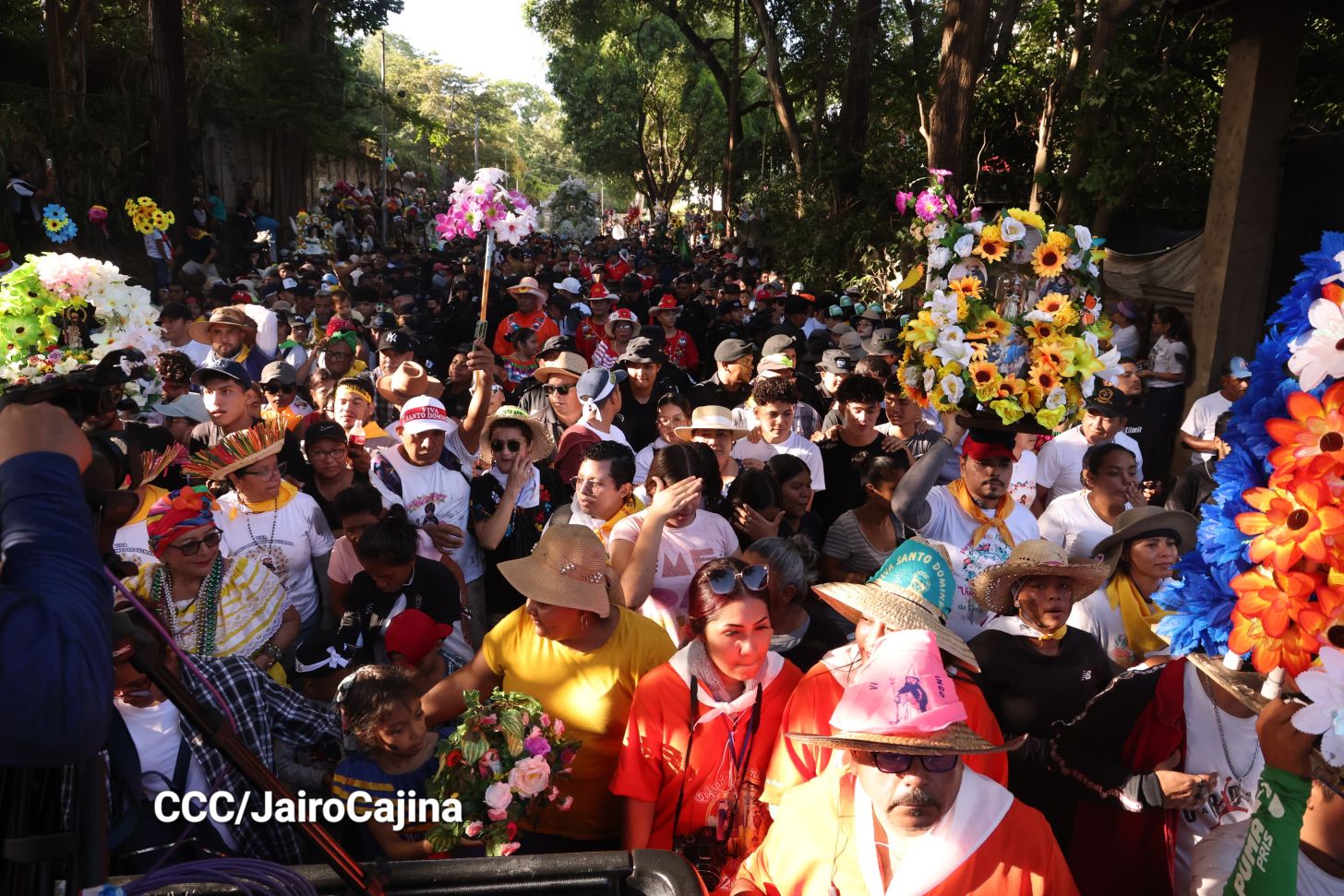 ¡Viva Santo Domingo de Guzmán! 