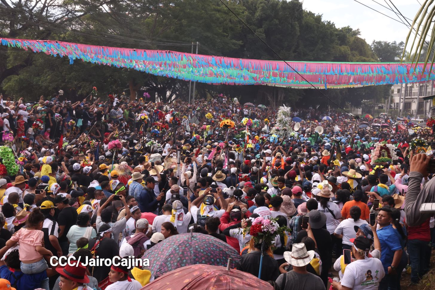 ¡Viva Santo Domingo de Guzmán! 
