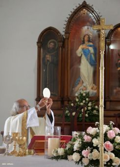 Cardenal Leopoldo Brenes participa de Encuentro Anual de Catequistas