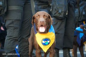 Desfile Policial “Unidad, Fuerza y Victorias” en la Avenida de Bolívar a Chávez