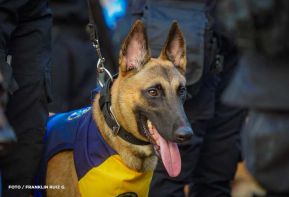 Desfile Policial “Unidad, Fuerza y Victorias” en la Avenida de Bolívar a Chávez