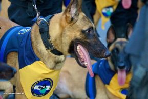 Desfile Policial “Unidad, Fuerza y Victorias” en la Avenida de Bolívar a Chávez