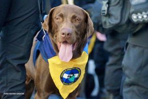 Desfile Policial “Unidad, Fuerza y Victorias” en la Avenida de Bolívar a Chávez