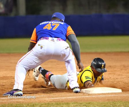 Leones de León campeones de la Liga Profesional 2026