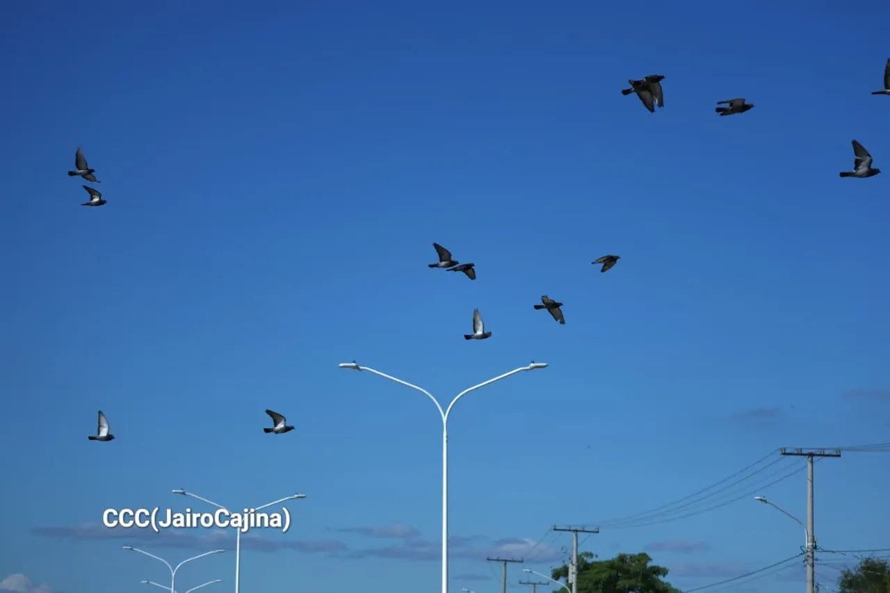 Entrega del Tramo Cuatro de la Pista Héroes de la Insurrección