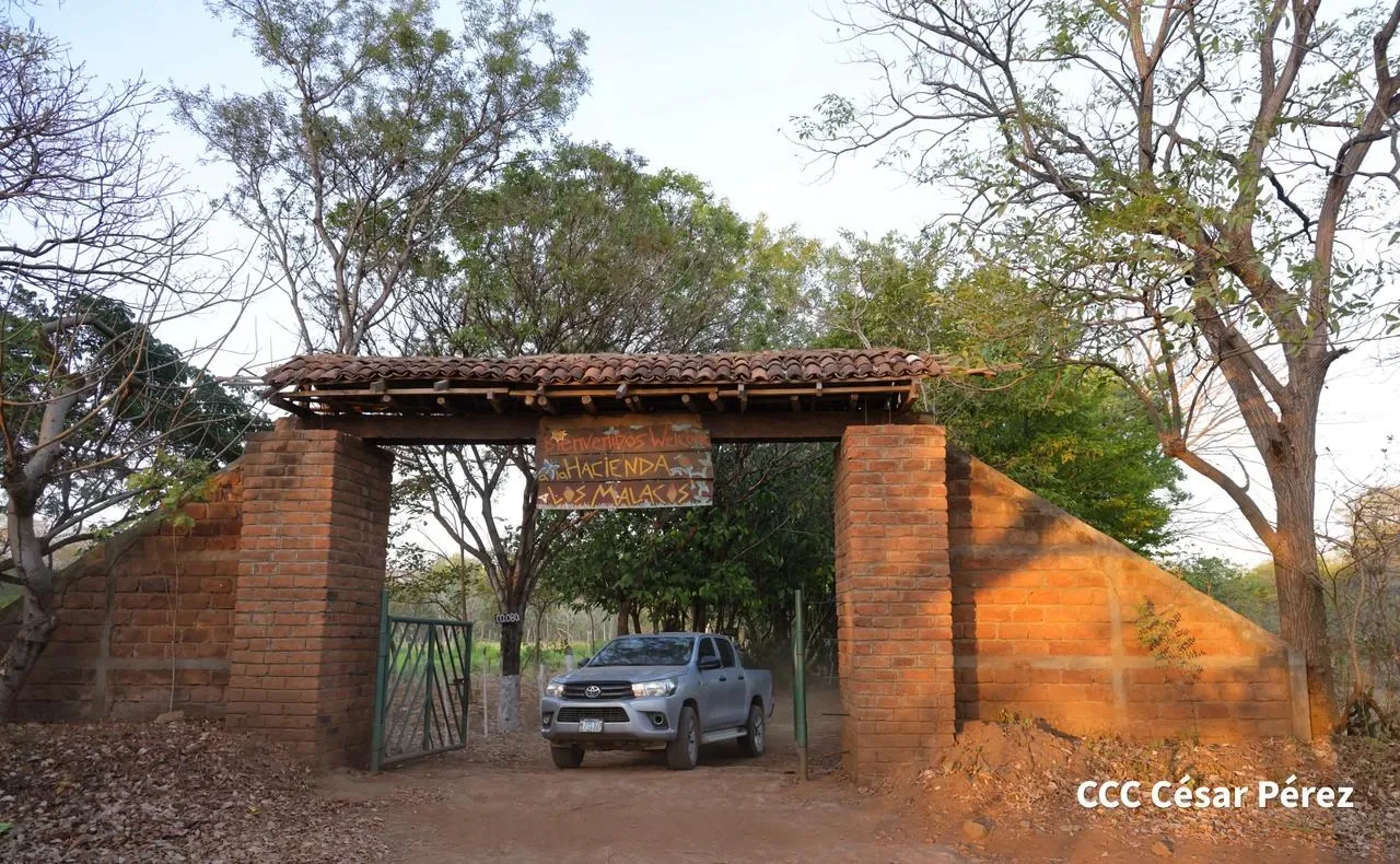Hacienda Los Malacos en Granada