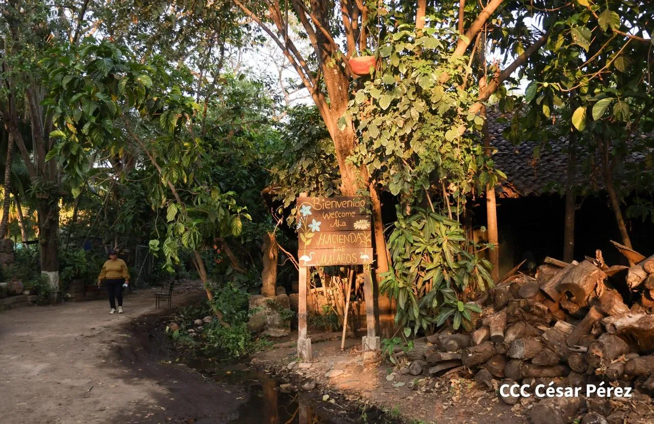 Hacienda Los Malacos en Granada