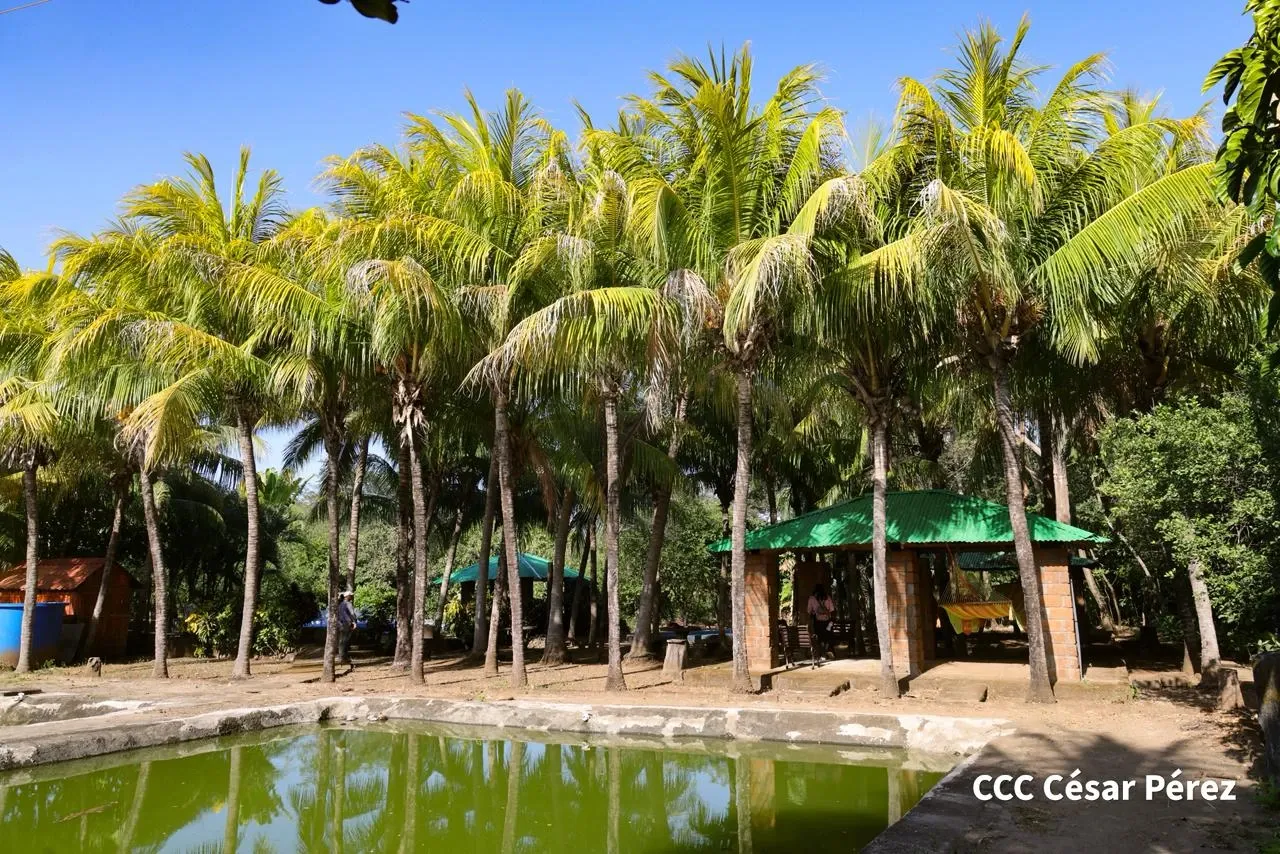 Hacienda Los Malacos en Granada