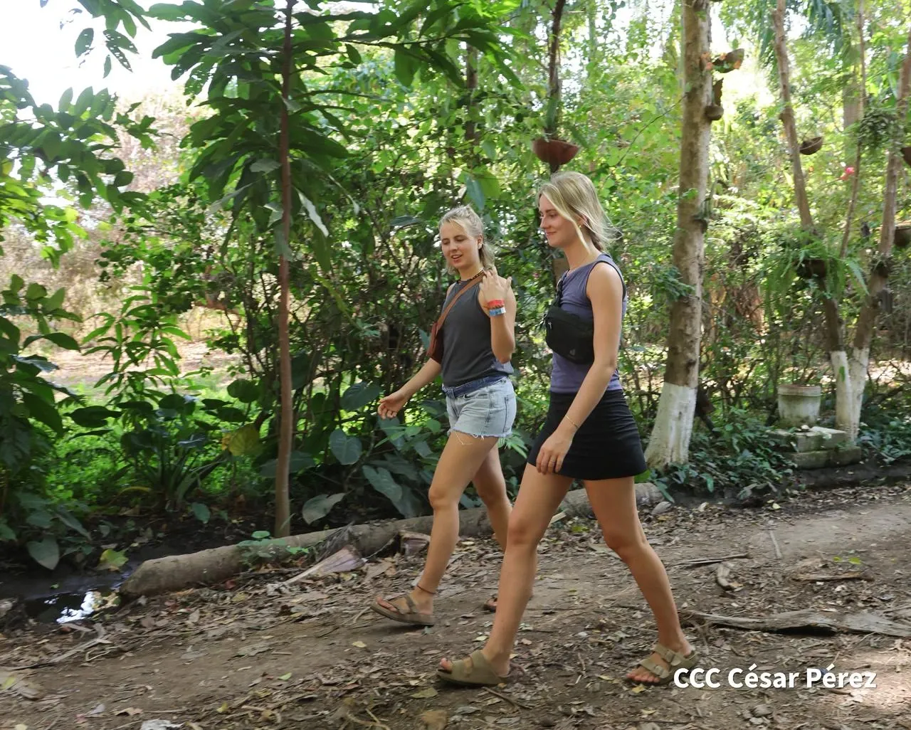 Hacienda Los Malacos en Granada