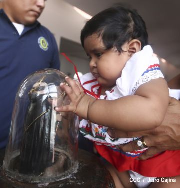 Devotos de Santo Domingo de Guzmán participan de la bajada de su santuario