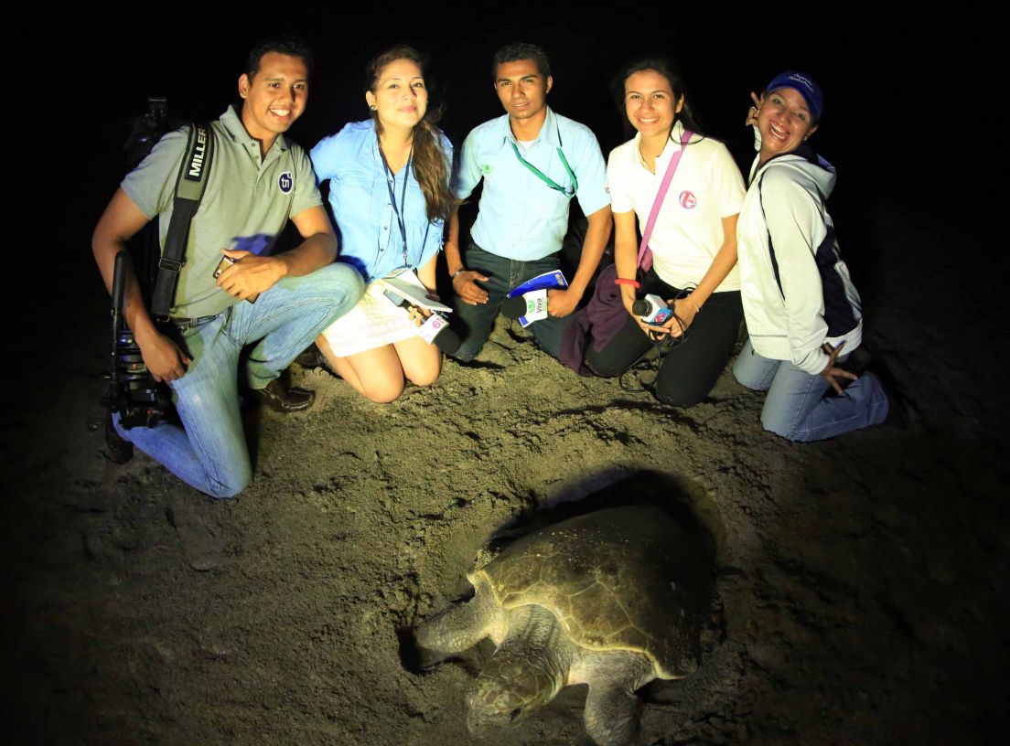 Desove de tortugas en Chacocente, un espectáculo de la naturaleza