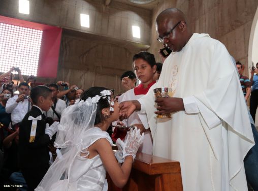 310 niños y niñas se consagran a Jesucristo al recibir la Primera Comunión