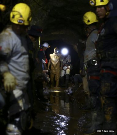 Rescatan con vida a 20 mineros