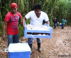 Continúan labores de búsqueda de mineros