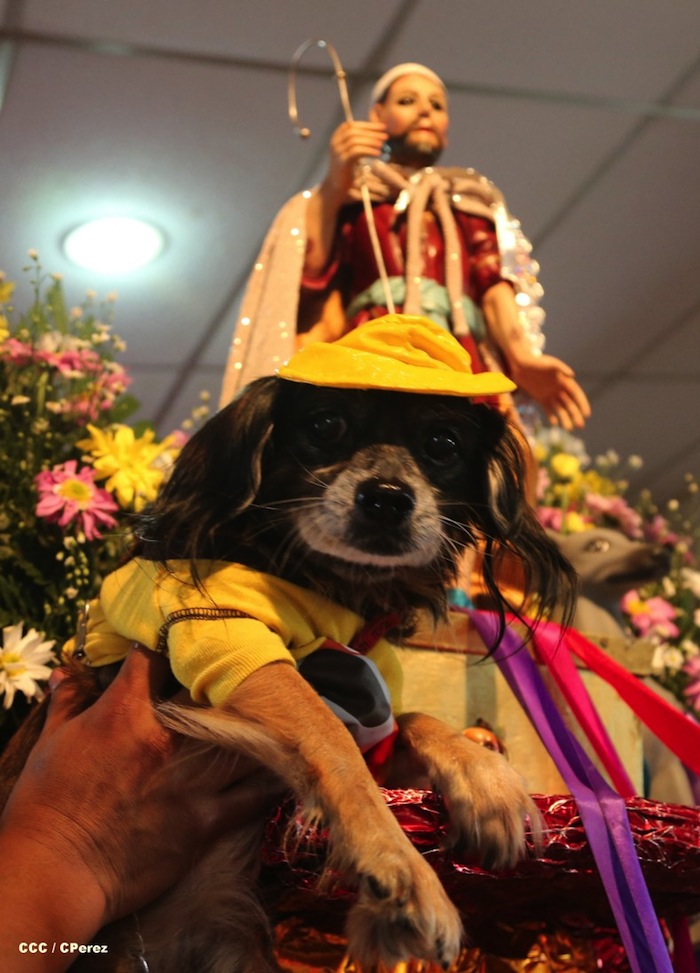 Fiesta de San Lázaro en Masaya