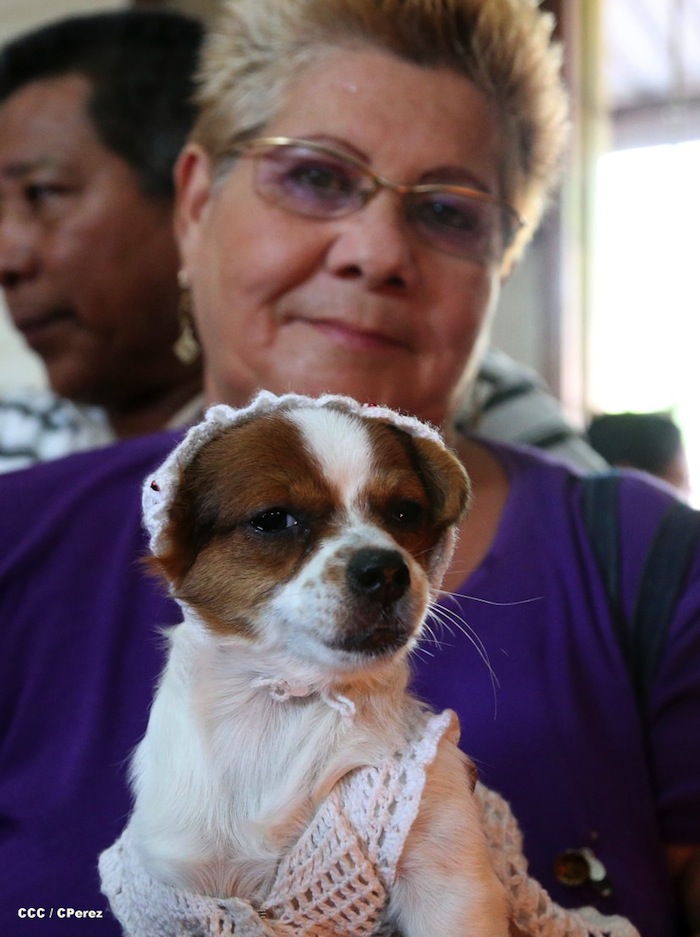 Fiesta de San Lázaro en Masaya