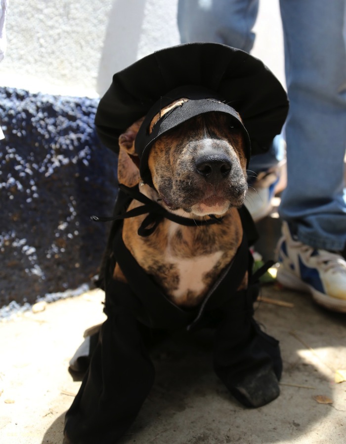 Fiesta de San Lázaro en Masaya