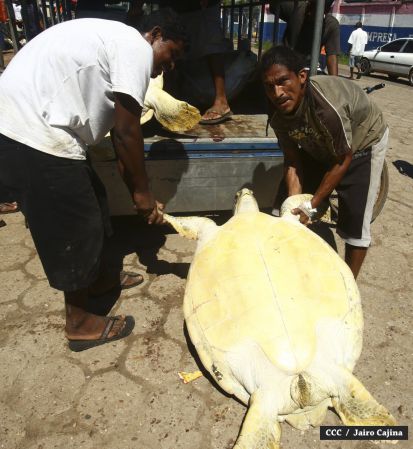 Población de Bilwi: “Gracias a Dios la tormenta se alejó”