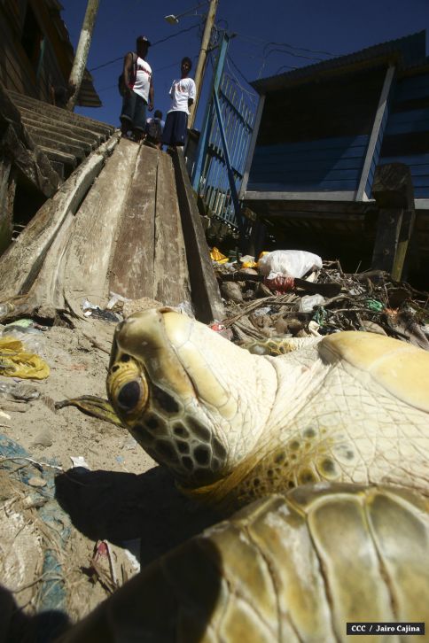 Población de Bilwi: “Gracias a Dios la tormenta se alejó”
