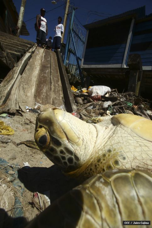 Población de Bilwi: “Gracias a Dios la tormenta se alejó”