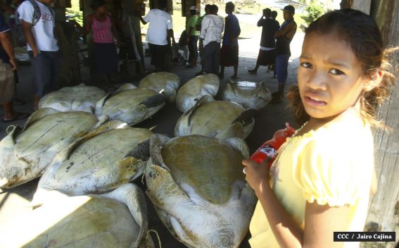 Población de Bilwi: “Gracias a Dios la tormenta se alejó”
