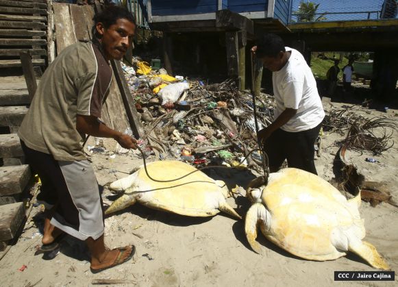 Población de Bilwi: “Gracias a Dios la tormenta se alejó”