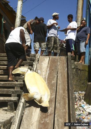 Población de Bilwi: “Gracias a Dios la tormenta se alejó”