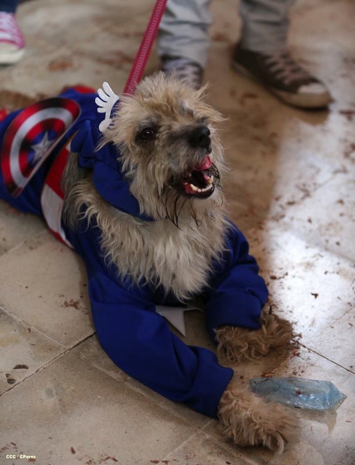 Fiesta de San Lázaro en Masaya
