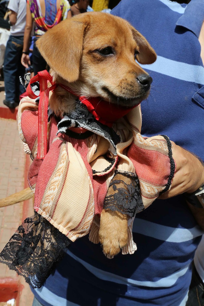 Fiesta de San Lázaro en Masaya