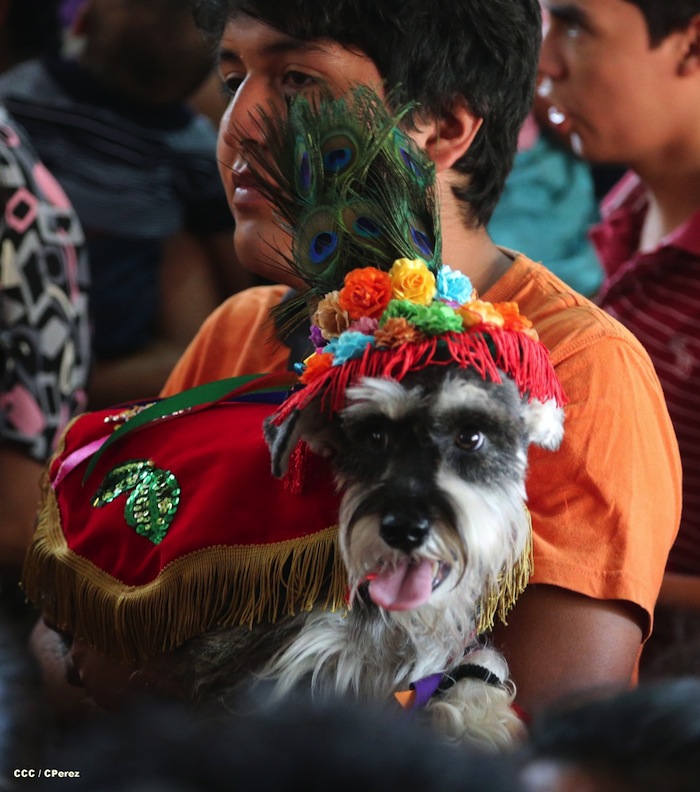 Fiesta de San Lázaro en Masaya