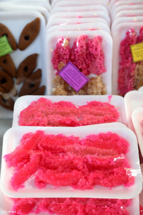 El tributo de los Masayas a la Inmaculada Concepción de María