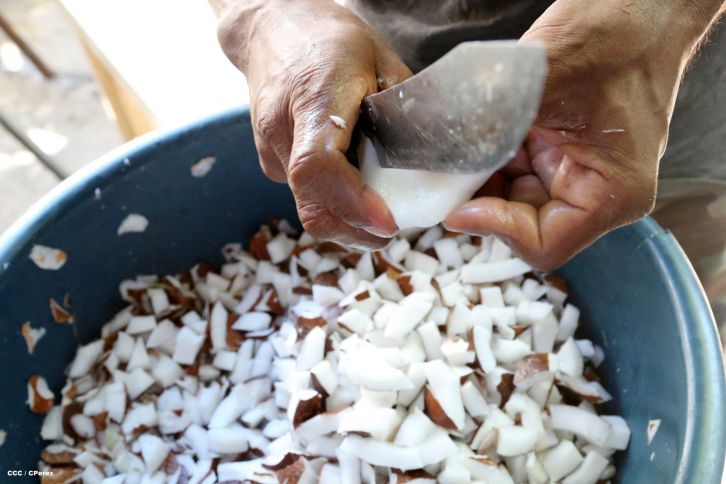 El tributo de los Masayas a la Inmaculada Concepción de María