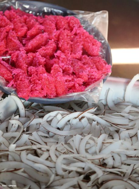 El tributo de los Masayas a la Inmaculada Concepción de María