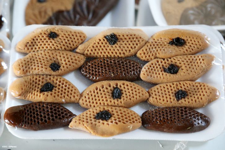 El tributo de los Masayas a la Inmaculada Concepción de María