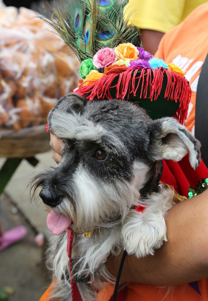Fiesta de San Lázaro en Masaya