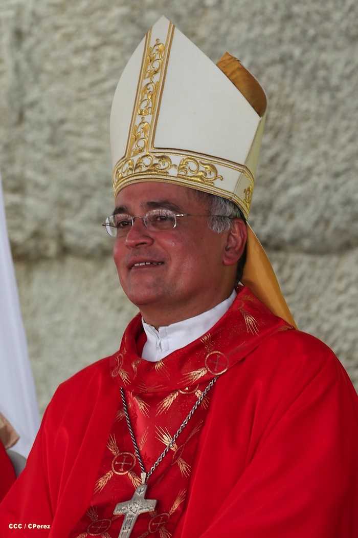 Iglesia Católica celebra el Jubileo Nacional de la Juventud Católica 2013