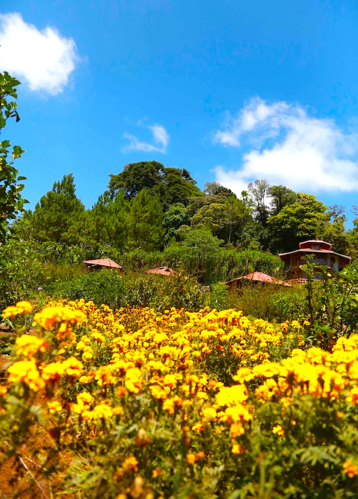 Reserva Miraflores (Estelí)