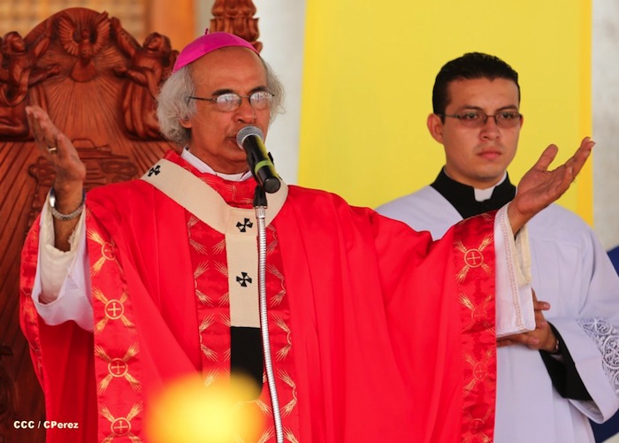 Iglesia Católica celebra el Jubileo Nacional de la Juventud Católica 2013