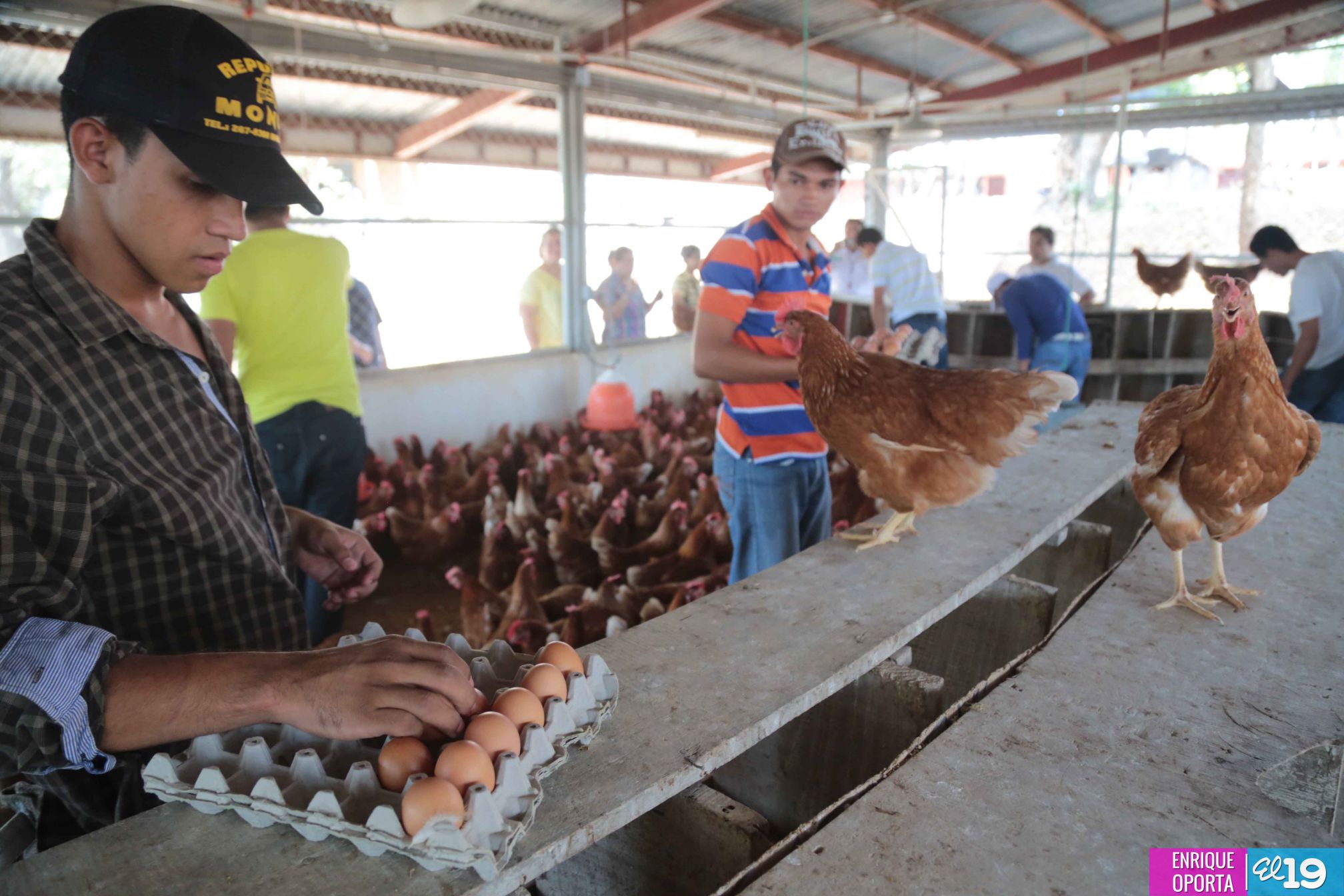 Tecnológico Germán Pomares, contribuyendo al desarrollo agropecuario