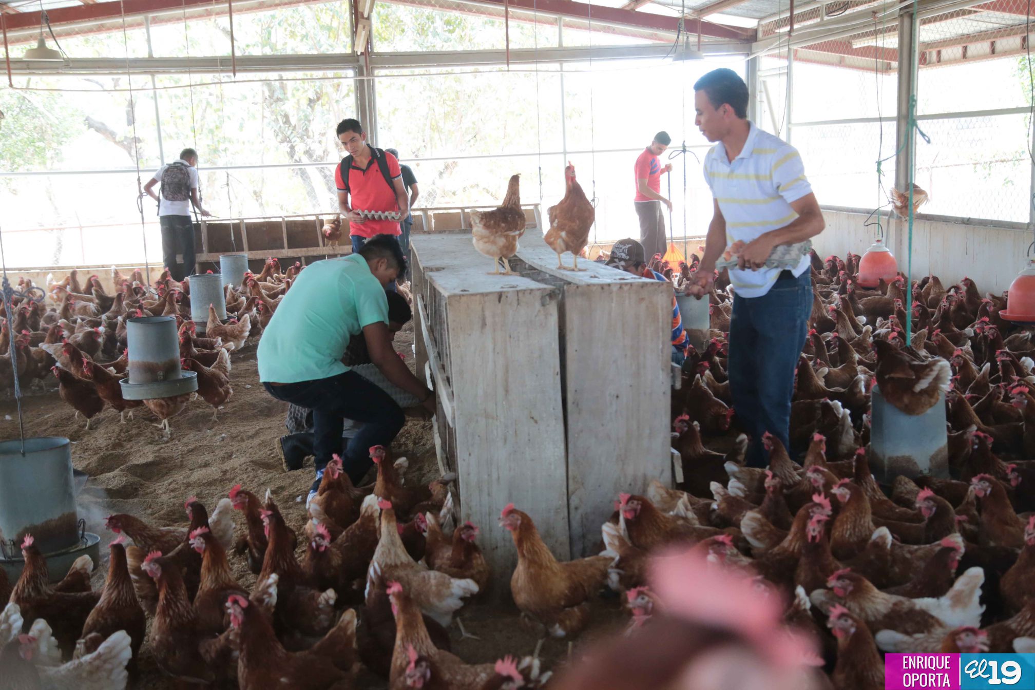 Tecnológico Germán Pomares, contribuyendo al desarrollo agropecuario