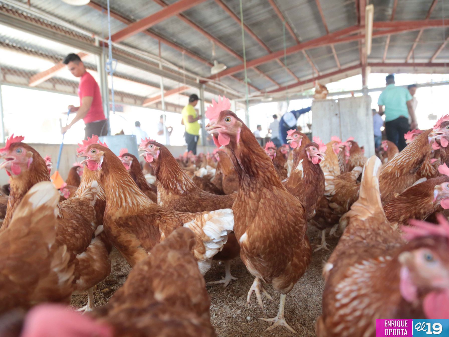 Tecnológico Germán Pomares, contribuyendo al desarrollo agropecuario