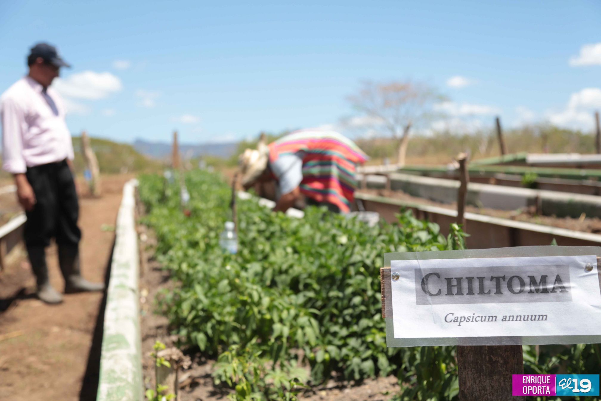 Tecnológico Germán Pomares, contribuyendo al desarrollo agropecuario