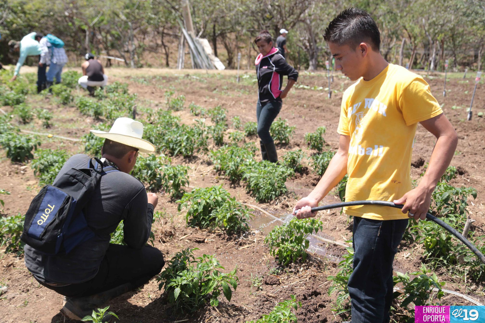 Tecnológico Germán Pomares, contribuyendo al desarrollo agropecuario