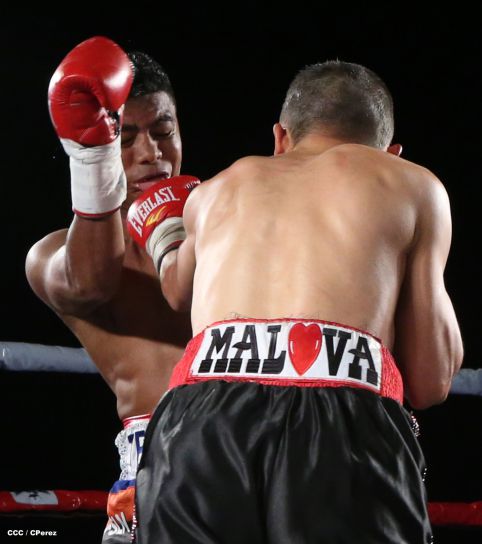 "Chocolatito" González noquea al mexicano Valentín León en Nicaragua 