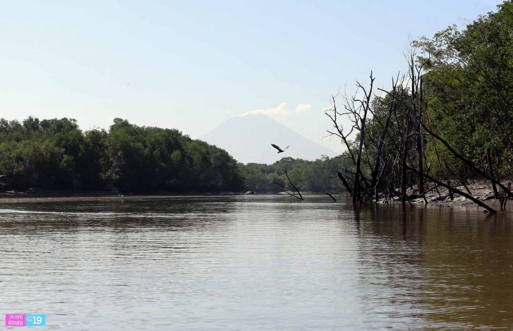 Gobierno y Comunidad trabajan en conservación de Reserva Natural Estero Real