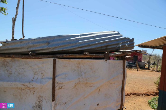 Anuncian Plan de Restauración de los Sistemas Agroforestales para reducir tolvaneras