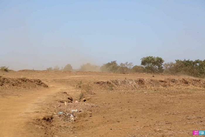 Anuncian Plan de Restauración de los Sistemas Agroforestales para reducir tolvaneras