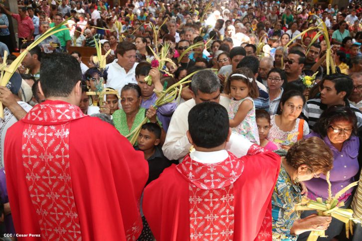 Cardenal Brenes preside peregrinación en honor a Jesús del Triunfo y misa de Domingo de Ramos 