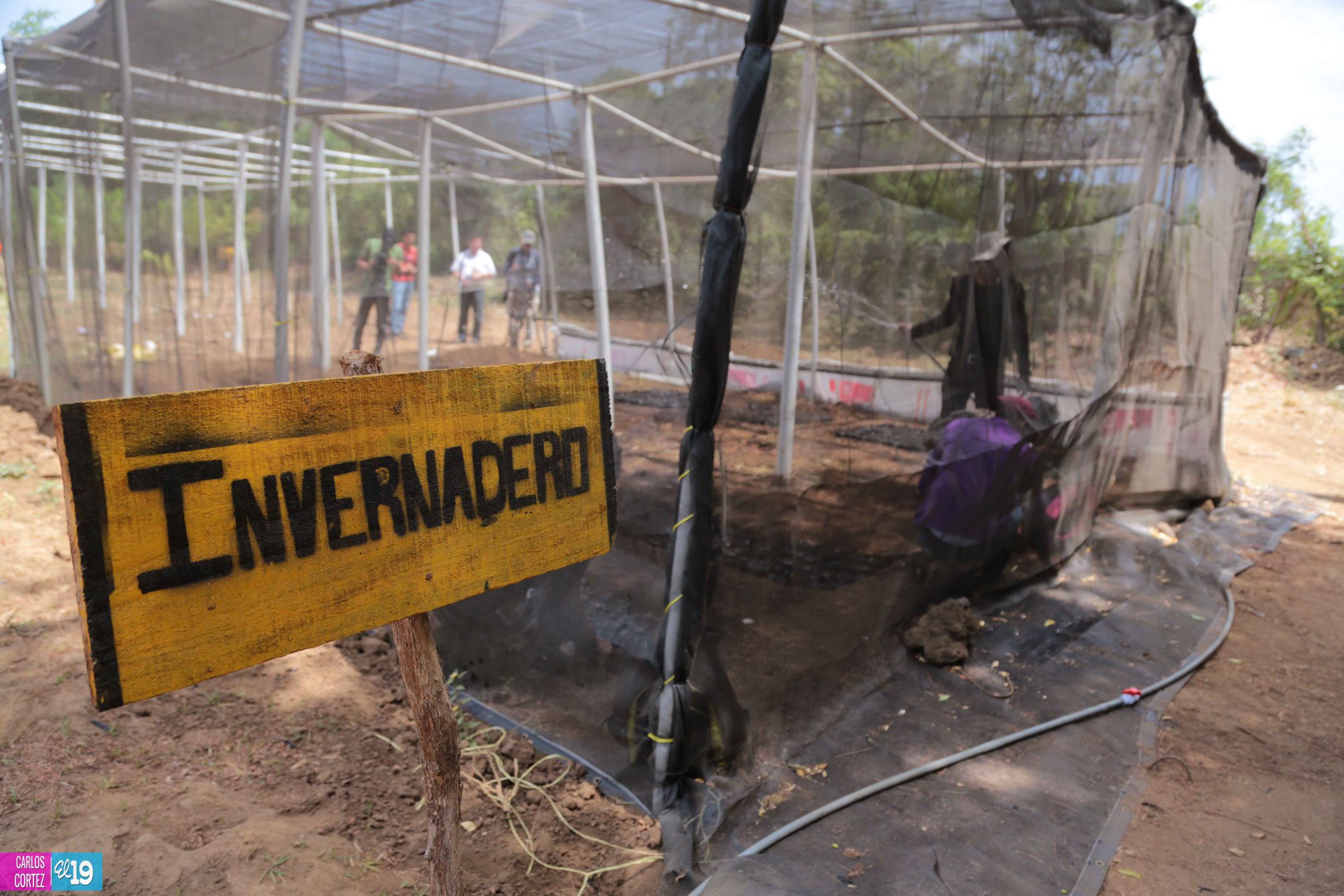 Tecnológico Agropecuario de Chinandega “Carlos Manuel Vanegas”