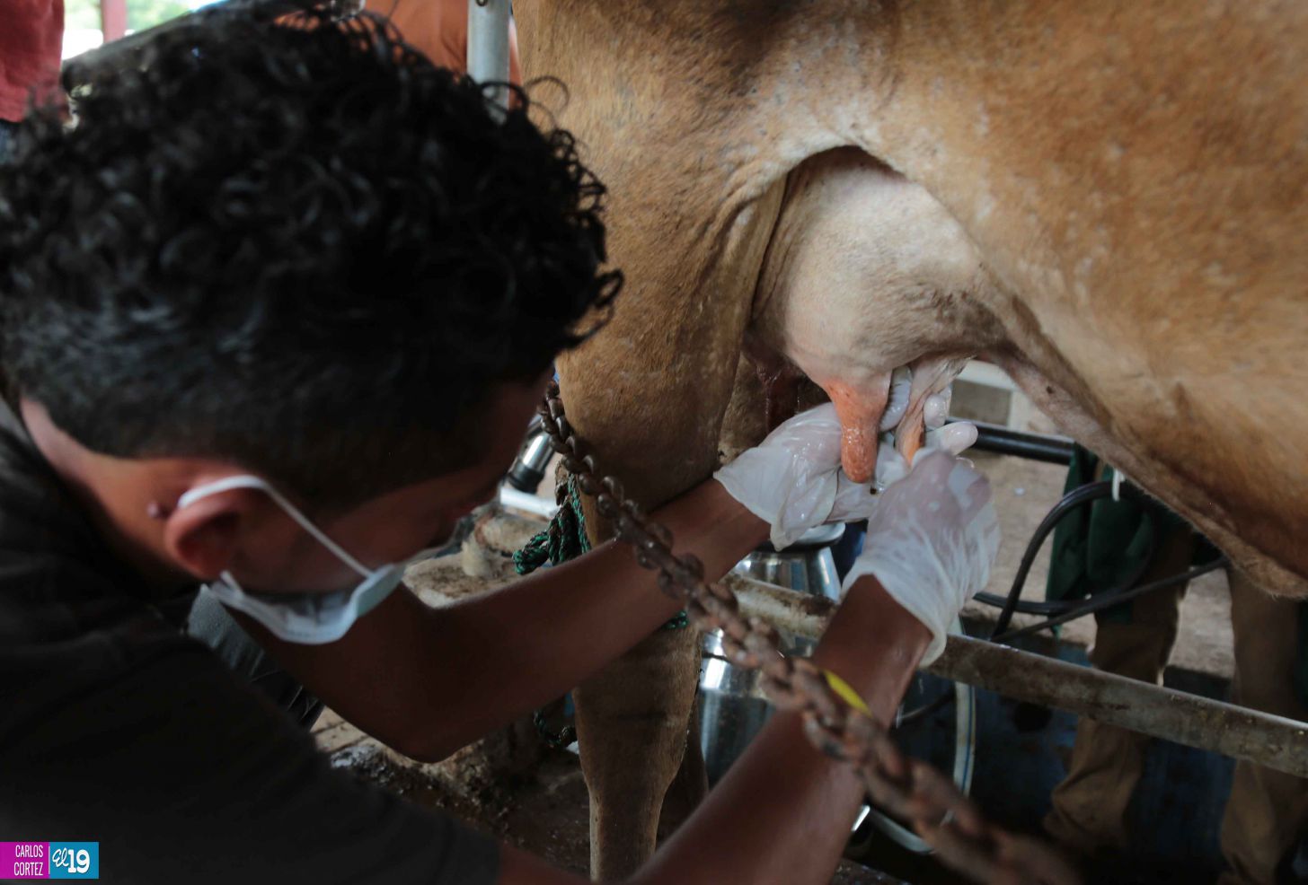 Tecnológico Agropecuario de Chinandega “Carlos Manuel Vanegas”
